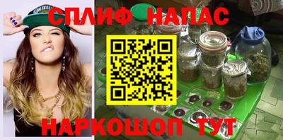 стафф Будённовск