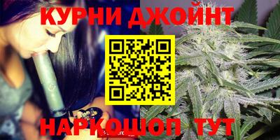 стафф Будённовск