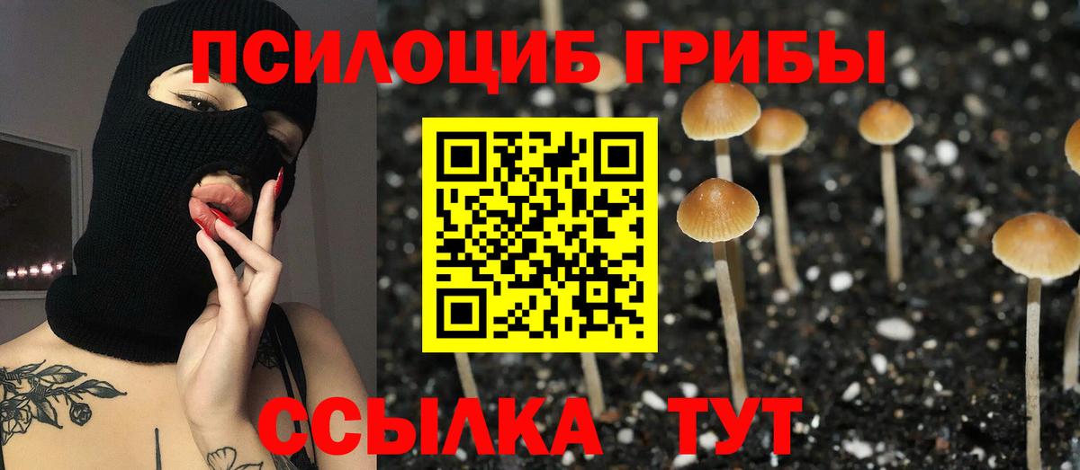 Псилоцибиновые грибы MAGIC MUSHROOMS  Вход с VPN  Куйбышев  Галлюциногенные грибы Magic Shrooms 